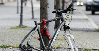 Reifen und Sattel sind weg, nur noch der Rahmen eines Fahrrads ist - hier in Berlin - an einen Baum gekettet. Foto: Jens Kalaene/dpa-Zentralbild/dpa