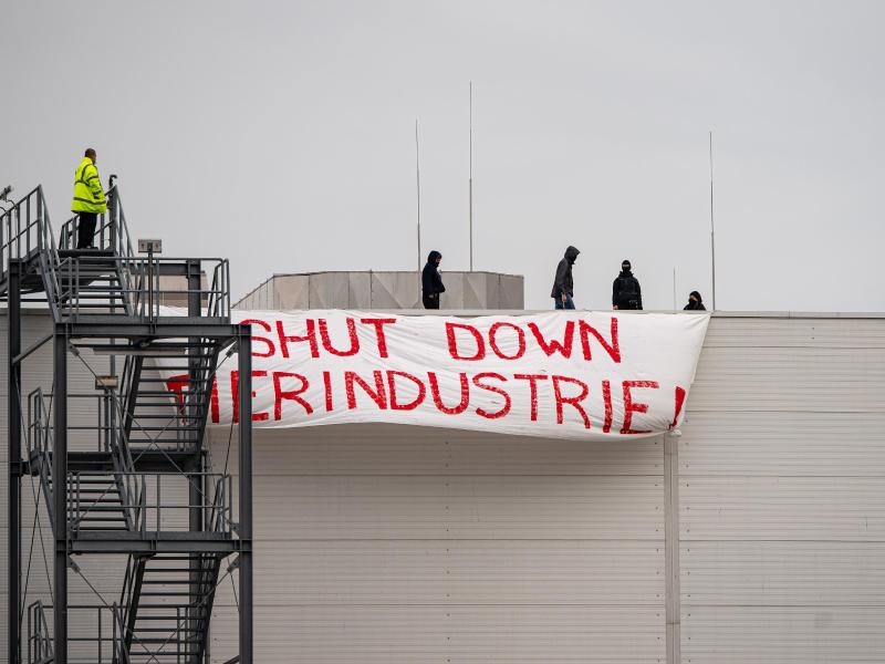 Aktivisten brachten auf dem Dach des Tönnies-Hauptstandorts in Rheda-Wiedenbrück ein Transparent mit der Aufschrift «Shut Down Tierindustrie» an. Foto: Guido Kirchner/dpa