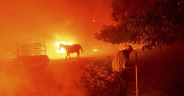 Der 84-Jährige Bill Nichols versucht sein Haus vor den Flammen zu retten. In Kalifornien kämpfen mehr als 10.000 Feuerwehrleute gegen zwei Dutzend Großbrände an. Foto: Noah Berger/AP/dpa