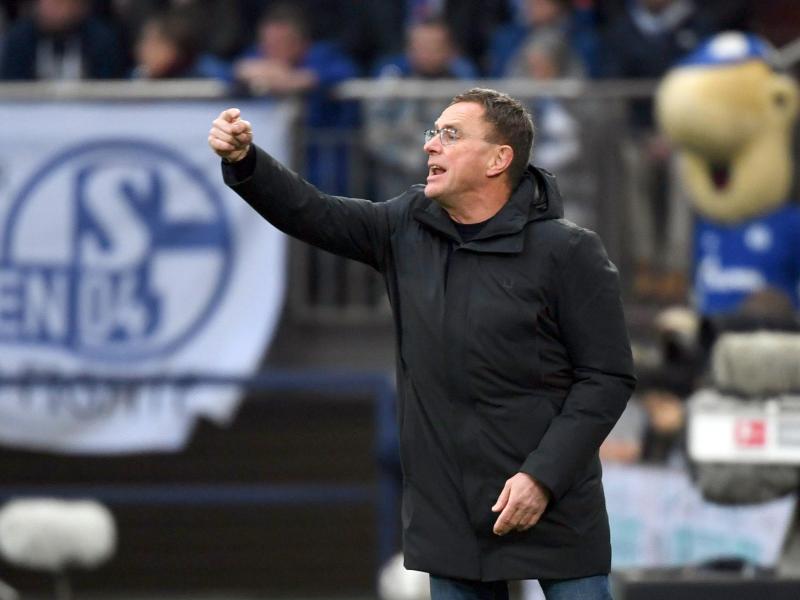Ralf Rangnick wirkte bereits von 2004 bis 2005 sowie im Jahr 2011 als Trainer beim FC Schalke 04. Foto: Ina Fassbender/dpa
