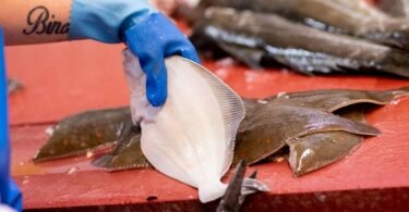 Die Maischolle bietet weißes und festes Fleisch. Im Frühsommer schmeckt sie am besten. Foto: Christian Charisius/dpa/dpa-tmn