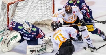 Die Eisbären Berlin um Torwart Mathias Niederberger (l) treffen auf die Grizzlys Wolfsburg. Foto: Andreas Gora/dpa