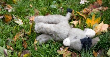 Kindesmissbrauch wird in Zukunft als Verbrechen angesehen. Foto: Daniel Karmann/dpa