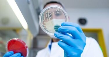 Prof. Alexander Mellmann leitet das Nationale Konsiliarlabor für das HUS-Syndrom und pflegt eine der weltweit größten Sammlungen an EHEC-Erregerstämmen. Foto: Guido Kirchner/dpa