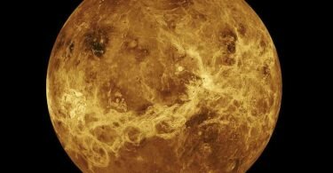 Das von der NASA&nbsp;zur Verfügung gestellte Foto zeigt den Planeten Venus, erstellt mit Daten der Raumsonde Magellan und des Pioneer Venus Orbiter. Foto: Uncredited/NASA/AP/dpa