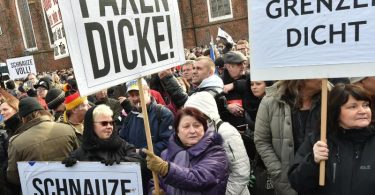 «Grenzen dicht», «Schnauze voll» und «Faxen dicke»: Menschen in Deutschland demonstrieren gegen die Aufnahme von Flüchtlingen. Foto: Bernd Settnik/dpa-Zentralbild/dpa