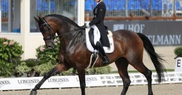 Helen Langehanenberg auf ihre Pferd Annabelle. Foto: Friso Gentsch/dpa