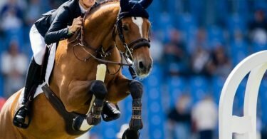Beste Deutsche beim Preis von Nordrhein-Westfalen: Jana Wargers auf «Limbridge» überspringt ein Hindernis. Foto: Rolf Vennenbernd/dpa