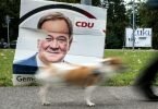 Ein Hund geht an einem beschädigten Wahlplakat vom Armin Laschet (CDU) vorbei. Foto: Federico Gambarini/dpa