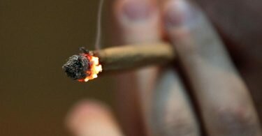 Die Debatte über eine Legalisierung von Cannabis in Deutschland nimmt Fahrt auf. Foto: Oliver Berg/dpa