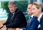 Jörg Meuthen (r) neben Tino Chrupalla und Alice Weidel. Foto: Bernd von Jutrczenka/dpa