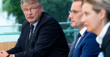 Jörg Meuthen (r) neben Tino Chrupalla und Alice Weidel. Foto: Bernd von Jutrczenka/dpa