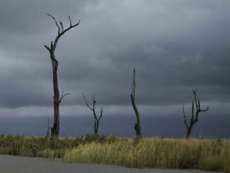 Auf der UN-Klimakonferenz COP26 im schottischen Glasgow wird eine Initiative von 100 Staaten vorgestellt, die bis 2030 die Zerstörung von Wäldern und anderen Landschaften stoppen wollen. Foto: Jessie Wardarski/AP/dpa
