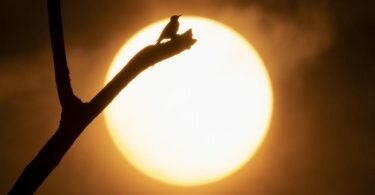 Der Rauch zahlreicher großer Waldbrände im südwestlichen Oregon färbt den Sonnenuntergang und den Himmel gelb. (Archivbild). Foto: Robin Loznak/ZUMA Press Wire/dpa