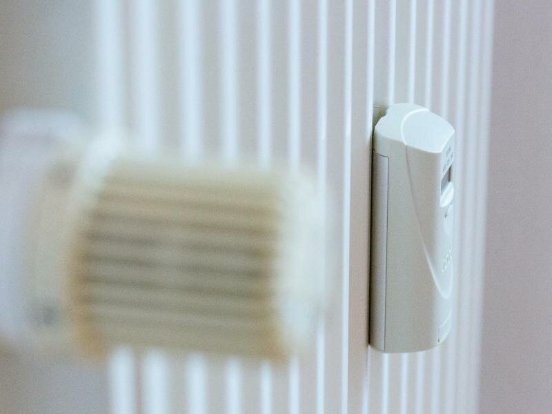 Künftig soll das Ablesen der Zählerstände vor Ort entfallen. Foto: Fernando Gutierrez-Juarez/dpa-Zentralbild/dpa