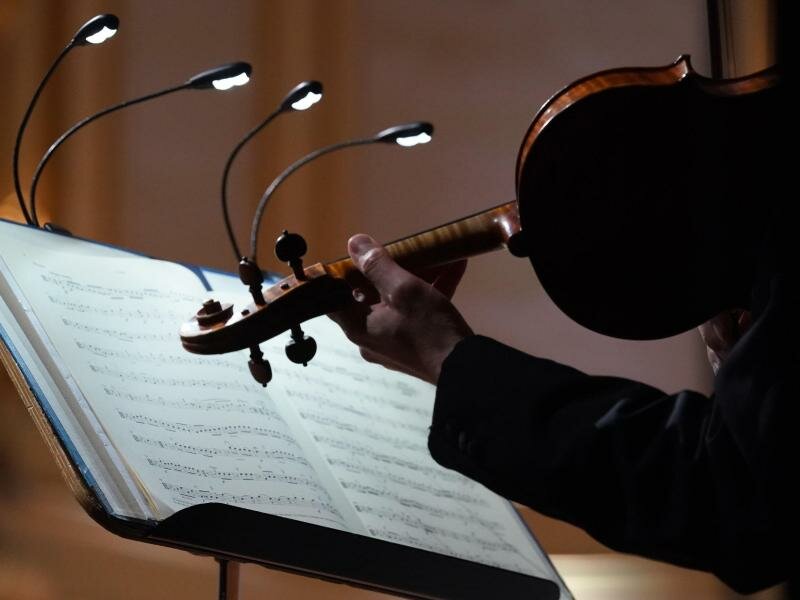 Jeder Ton muss sitzen: Nach Ansicht der Deutschen Orchestervereinigung herrscht in professionellen Orchestern ein enormer Leistungsdruck, der Auswirkungen auf die psychische Gesundheit haben kann. Foto: Marcus Brandt/dpa/Illustration