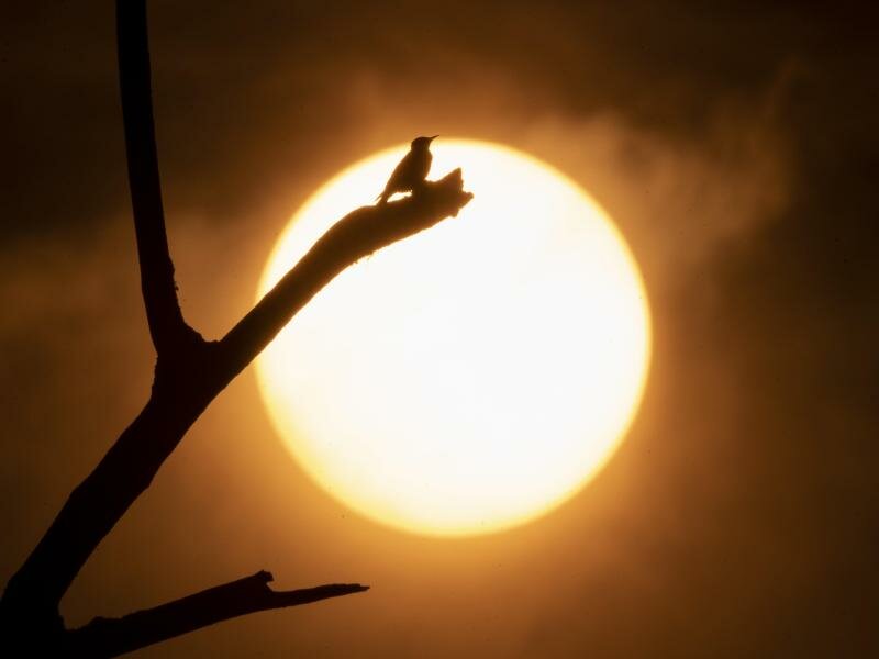 Der US-Klimabehörde NOAA zufolge war es weltweit der viertwärmste Oktober seit Beginn der Aufzeichnungen. Foto: Robin Loznak/ZUMA Press Wire/dpa