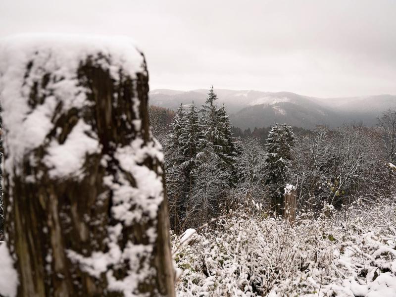 Im Harz ist es winterlich geworden. Foto: Swen Pförtner/dpa
