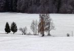 Allein in der Winterlandschaft (Bayern). Foto: Karl-Josef Hildenbrand/dpa
