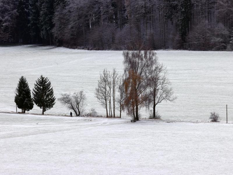 Allein in der Winterlandschaft (Bayern). Foto: Karl-Josef Hildenbrand/dpa