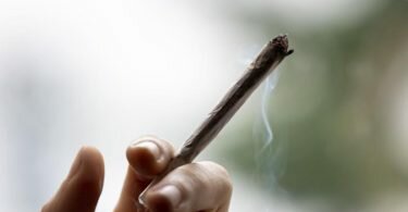 Cannabis ist die am häufigsten konsumierte illegale Droge in Deutschland. Foto: Fabian Sommer/dpa