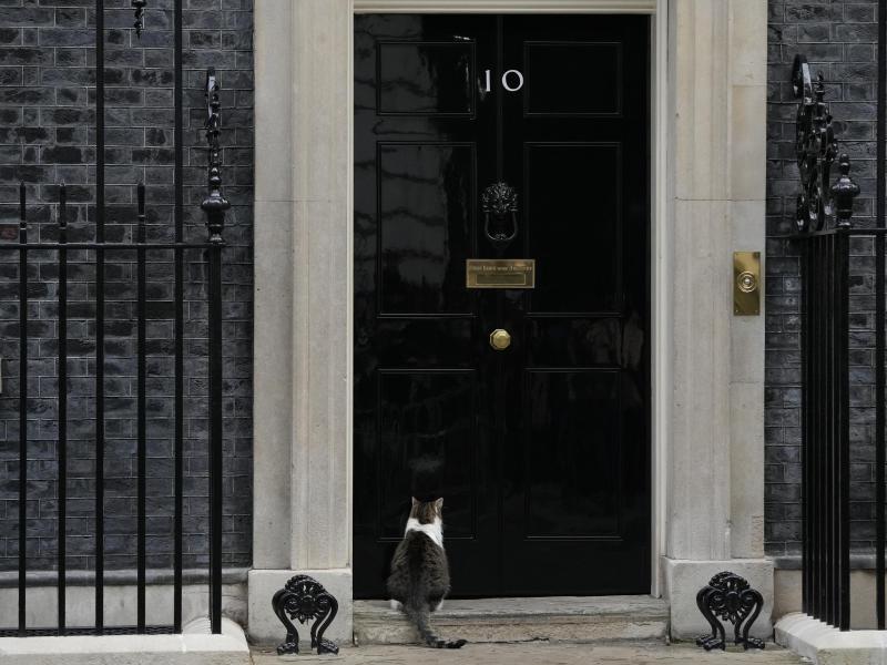 Kater Larry sitzt vor der Tür der 10 Downing Street. Dort wurden 2020 und 2021 - mitten im Lockdown - anscheinend rauschende Partys gefeiert. Foto: Alastair Grant/AP/dpa