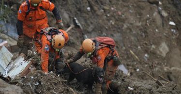 Rettungskräfte suchen im brasilianischen Petropolis mit einem Spürhund nach den Opfern eines Erdrutsches. Foto: Silvia Izquierdo/AP/dpa