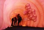 Blick in den Darm: Was bei diesem begehbaren Modell ganz einfach ist, braucht im echten Leben einen Eingriff unter Narkose. Foto: Christian Charisius/dpa/dpa-tmn
