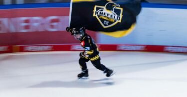 Die Krefeld Pinguine wollen vor das DEL-Schiedsgericht ziehen. Foto: Rolf Vennenbernd/dpa