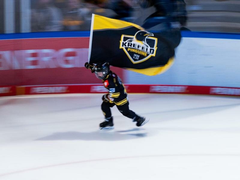 Die Krefeld Pinguine wollen vor das DEL-Schiedsgericht ziehen. Foto: Rolf Vennenbernd/dpa