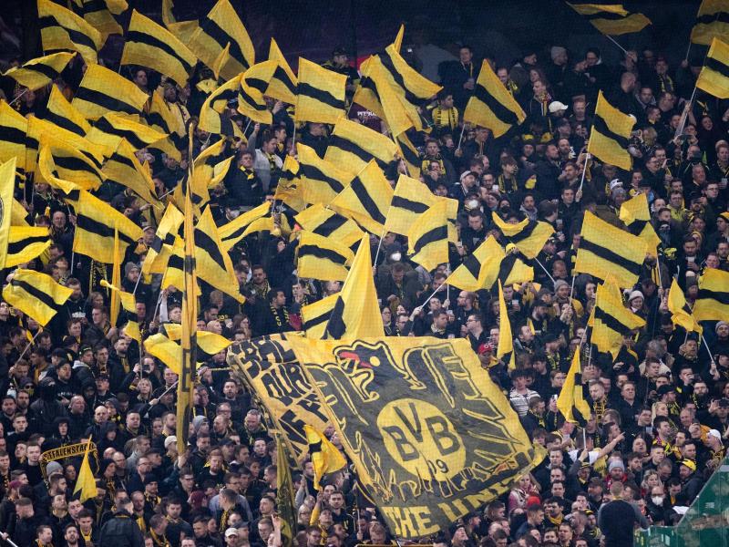 Dortmunds Fans auf der Tribüne im RheinEnergieStadion in Köln. Foto: Rolf Vennenbernd/dpa