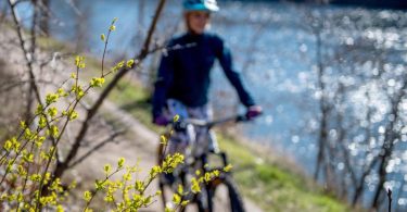 Eine Fahrradtour stärkt das Herz-Kreislauf-System - und kann somit Wetterfühligkeit vorbeugen. Foto: Zacharie Scheurer/dpa-tmn