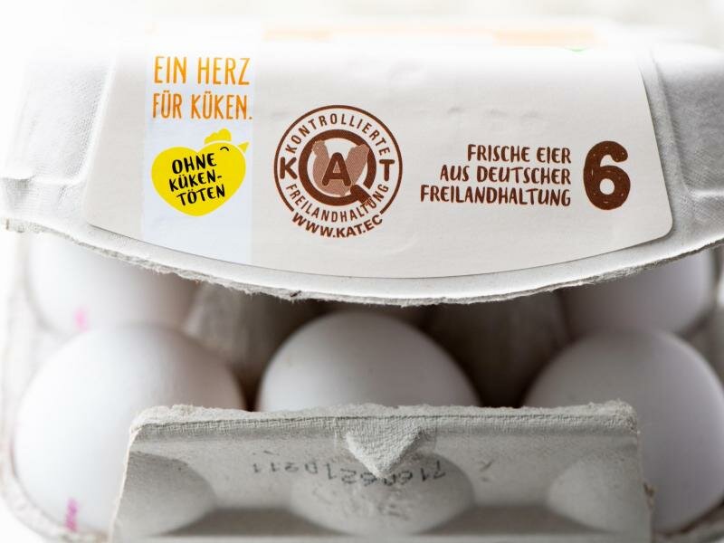 Wer auf den Aufdruck «Ohne Kükentöten» achtet, geht auf Nummer sicher. Das Siegel vom Verein für kontrollierte alternative Tierhaltungsformen (KAT) kann Eier ohne Kükentöten erst für Legehennen garantieren, die seit Januar Eier ausbrüten. Foto: Bernd Diekjobst/dpa-tmn