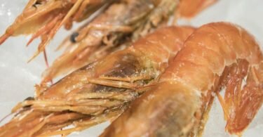 Garnelen stehen auf der Rangliste der meist verzehrten Fisch- und Krebsarten in Deutschland auf Platz fünf. Kennzeichnungen geben Aufschluss über eine nachhaltige Zucht. Foto: Robert Günther/dpa-tmn