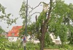 Umgestürzte Bäume nach einem mutmaßlichen Tornado in der nordrhein-westfälischen Stadt Lippstadt. Foto: Ina Jütte/dpa