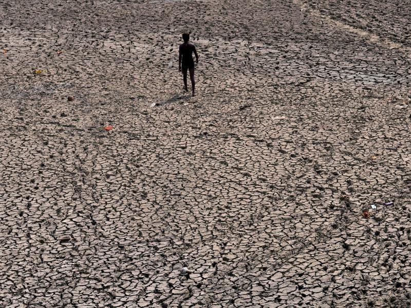 Die Klimakrise ist eine der größten globalen Herausforderungen. Foto: Manish Swarup/AP/dpa