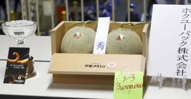 Ein Paar Yubari-Melonen erzielt bei einer Auktion einen Preis von 3 Millionen Yen. Foto: --/kyodo/dpa