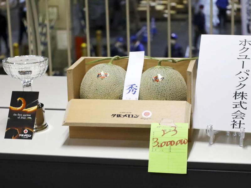 Ein Paar Yubari-Melonen erzielt bei einer Auktion einen Preis von 3 Millionen Yen. Foto: --/kyodo/dpa