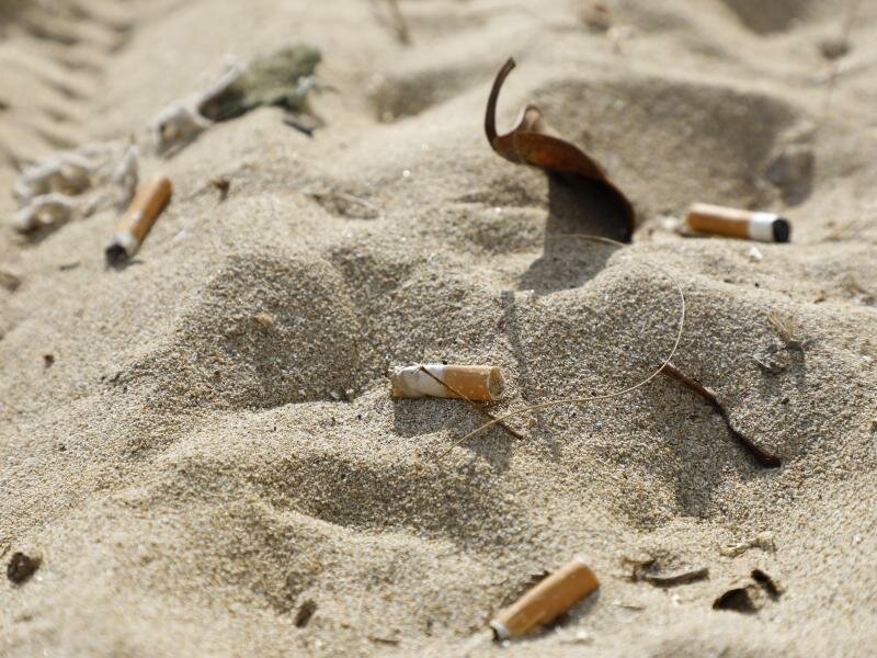 Zigarettenstummel verschmutzen den Strand von Arenal auf der spanischen&nbsp;Urlaubsinsel Mallorca. Foto: Clara Margais/dpa