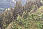 Schüler und eine Lehrergruppe im österreichischen Kleinwalsertal. Mehr als 100 Personen sind mit Hubschraubern aus Bergnot gerettet worden. Foto: --/Landespolizeidirektion Vorarlberg/APA/dpa