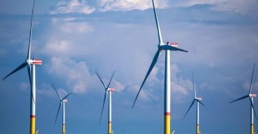 Windräder stehen zwischen den Inseln Rügen und Bornholm in der Ostsee. Foto: Jens Büttner/dpa-Zentralbild/dpa