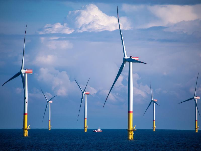 Windräder stehen zwischen den Inseln Rügen und Bornholm in der Ostsee. Foto: Jens Büttner/dpa-Zentralbild/dpa