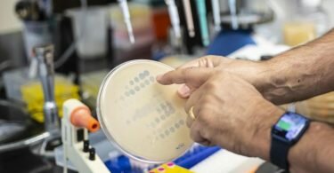 Das Labor von Graham Hatfull an der Universität Pittsburgh stellt bakterientötende Viren Patienten zur Verfügung, die keine anderen Möglichkeiten zur Behandlung resistenter Infektionen haben. Foto: Aimee Obidzinski/University of Pittsburgh/dpa