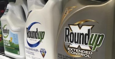 Bayers Unkrautvernichter Roundup ist heftig umstritten. Foto: Haven Daley/AP/dpa