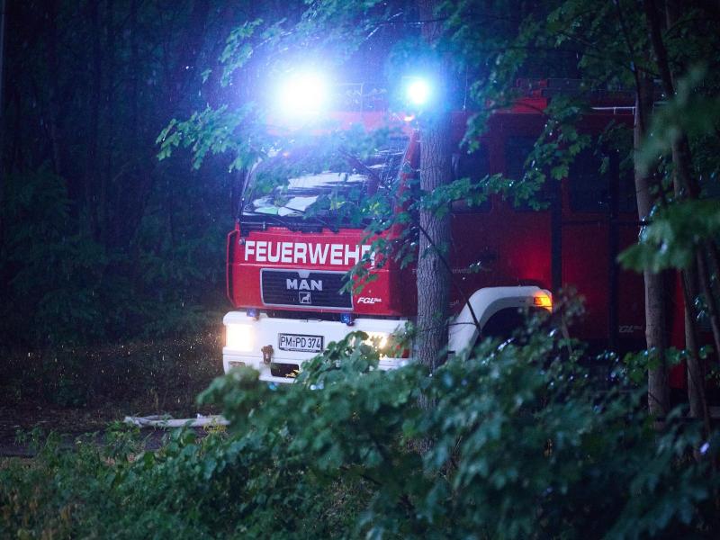 Das Blaulicht eines Feuerwehrfahrzeugs leuchtet in den frühen Morgenstunden im Waldstück zwischen Treuenbriezen und Beelitz. Foto: Annette Riedl/dpa