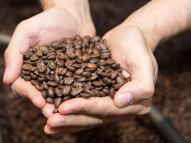 Bei fertig gerösteten Kaffeebohnen gibt es festgelegte Richtwerte für den Acrylamidgehalt, die Lebensmittelunternehmer beachten müssen. Bei selbst gerösteten Bohnen hat man darüber keinerlei Überblick. Foto: Robert Günther/dpa-tmn