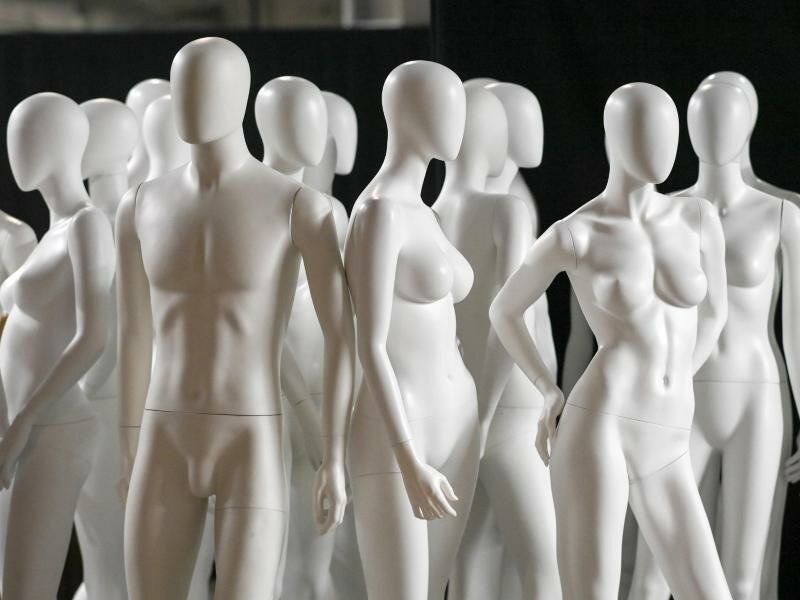 «Das biologische Geschlecht des Menschen ist binär, es gibt männliche und es gibt weibliche Menschen. Wir werden männlich oder weiblich geboren und behalten unsere geschlechtliche Zugehörigkeit bis zum Ende des Lebens.». Foto: Jens Kalaene/dpa