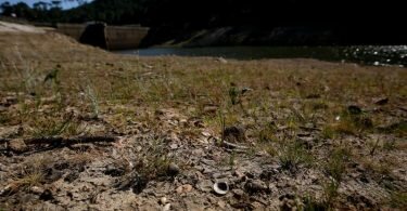 In Südeuropa (wie hier in Portugal) führt die Hitze zu starker Trockenheit. Foto: Pedro Fiuza/XinHua/dpa