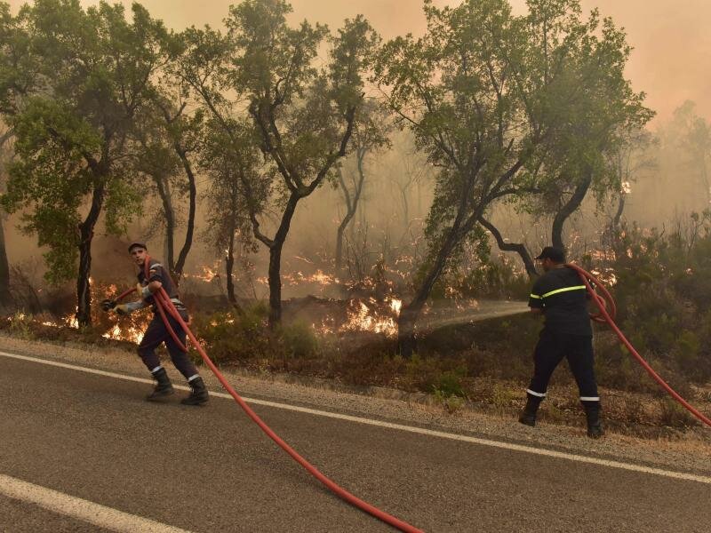 Feuerwehrleute und das Militär versuchen, mehrere Waldbrände im Norden Marokkos einzudämmen. Foto: -/AP/dpa