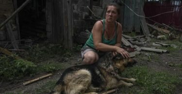 Nch einem Raketenangriff am Stadtrand von Pokrowsk bedeckt die 43-jährige Tetiana Pashko die Augen ihres verletzten Hundes, als sie laute Geräusche hört. Foto: Nariman El-Mofty/AP/dpa